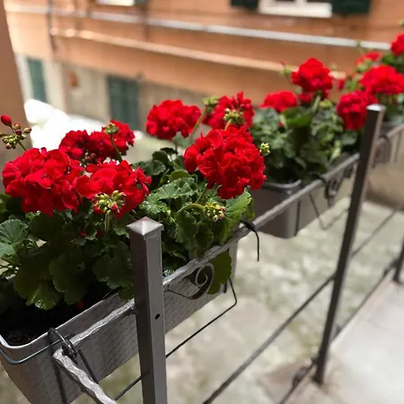 A San Martino, Апартаменты